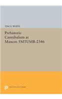 Prehistoric Cannibalism at Mancos 5MTUMR-2346