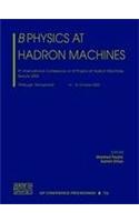 B Physics at Hadron Machines