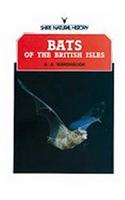 Bats of the British Isles