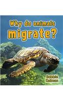 Why Do Animals Migrate?