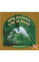 Why Animals Live in Nests: (Where Animals Live)