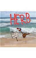 Adventures of Herb the Wild Turkey - Herb Goes to the Beach