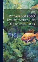 The Potamogetons (pond Weeds) Of The British Isles