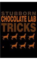 Stubborn Chocolate Tricks