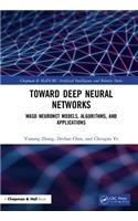 Deep Neural Networks