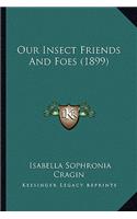 Our Insect Friends And Foes (1899)