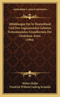 Abbildungen Der In Deutschland Und Den Angrenzenden Gebieten Vorkommenden Grundformen Der Orchideen-Arten (1904)
