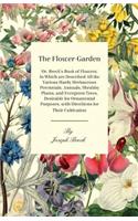Flower-Garden