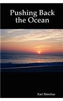 Pushing Back the Ocean