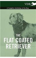 The Flat Coated Retriever - A Complete Anthology of the Dog: (English)