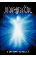 Introspection