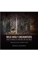 Wild Wolf Encounters