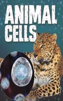 Animal Cells