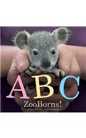 ABC Zooborns!