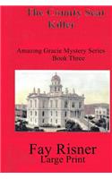 The County Seat Killer