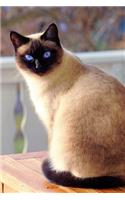 Say Hello to the Siamese Cat Journal: 150 page lined notebook/diary