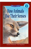 How Animals Use Their Senses