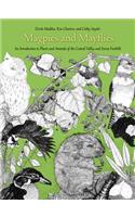 Magpies and Mayflies