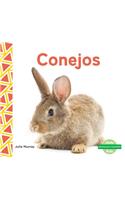 Conejos (Rabbits) (Spanish Version)