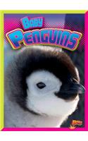 Baby Penguins