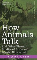 How Animals Talk