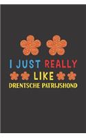 I Just Really Like Drentsche Patrijshond