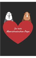 Der beste Meerschweinchen-Papa