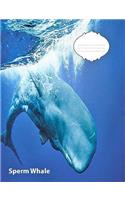 Sperm Whale College Ruled Line Paper Composition Book: Whale Fans, College Students, Middle School, School Supplies, Journal for Notes