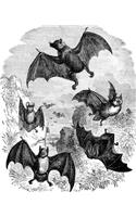 Vintage Halloween Bat Sketch School Composition Book 130 Pages