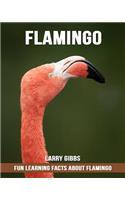 Fun Learning Facts about Flamingo