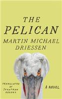 Pelican