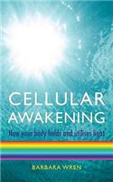 Cellular Awakening: How Your Body Holds and Utilises Light