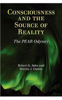 Consciousness and the Source of Reality