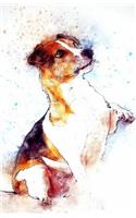 Journal Notebook For Dog Lovers - Jack Russell Terrier: Lined and Numbered Pages With Index Blank Journal For Journaling, Writing, Planning and Doodling.