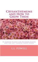 Crysanthemums and How to Grow Them