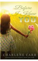 Before I Knew You