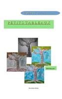 Petits Tableaux