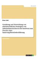 Gestaltung und Entwicklung von arbeitsrechtlichen Strategien von Arbeitnehmerrechten in der Insolvenz zum Zwecke einer Sanierung/Betriebsfortführung: (German)