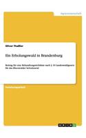 Erholungswald in Brandenburg