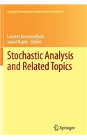 Stochastic Analysis and Related Topics