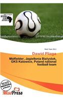 Dawid Plizga