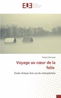 Voyage au coeur de la folie