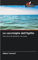 cocciniglie dell'Egitto