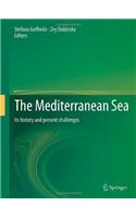 The Mediterranean Sea