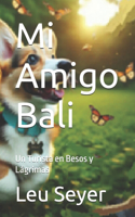 Mi Amigo Bali