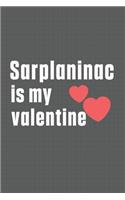 Sarplaninac is my valentine: For Sardinian Shepherd Dog Fans