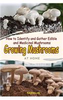 Growing Mushrooms at Home