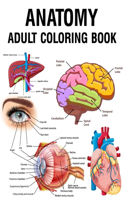 Anatomy Adult Coloring Book