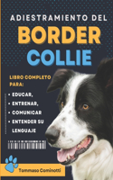 Adiestramiento del BORDER COLLIE