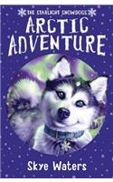 Arctic Adventure